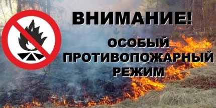 СТАТИСТИКА ПОЖАРОВ НА ТЕРРИТОРИИ СЕВЕРО-БАЙКАЛЬСКОГО РАЙОНА.