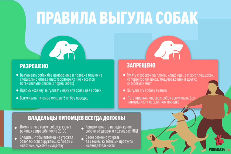 О РЕГИСТРАЦИИ ДОМАШНИХ ЖИВОТНЫХ (СОБАК)!. О РЕГИСТРАЦИИ ДОМАШНИХ ЖИВОТНЫХ (СОБАК)!.
