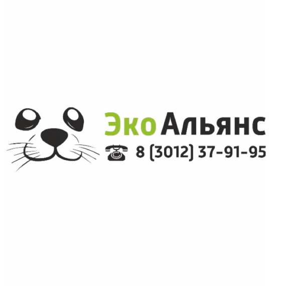 «ЭкоАльянс» получает сигналы о захламлении площадок для ТКО картонной тарой. «ЭкоАльянс» получает сигналы о захламлении площадок для ТКО картонной тарой.