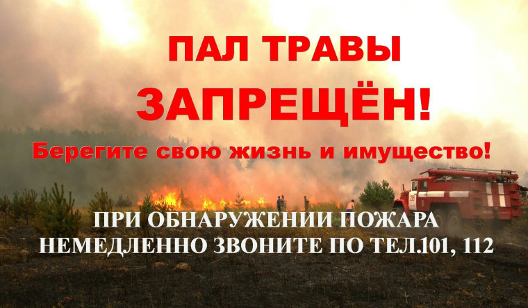 Пал сухой травы. Пал сухой травы.