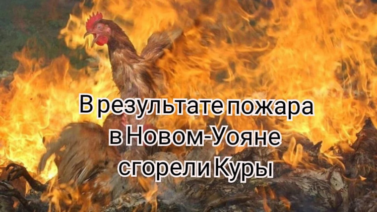 В результате пожара сгорели куры в Северо-Байкальском районе. В результате пожара сгорели куры в Северо-Байкальском районе.