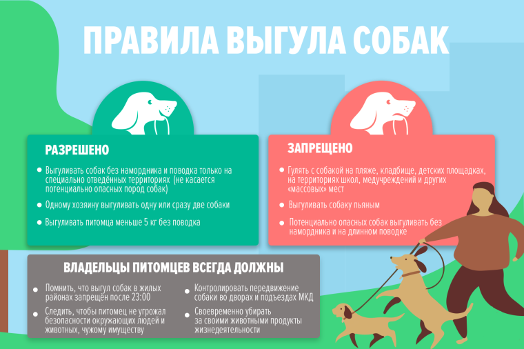 Выгул собак. Выгул собак.