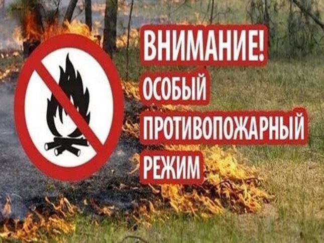 СТАТИСТИКА ПОЖАРОВ НА ТЕРРИТОРИИ СЕВЕРОБАЙКАЛЬСКОГО РАЙОНА. СТАТИСТИКА ПОЖАРОВ НА ТЕРРИТОРИИ СЕВЕРОБАЙКАЛЬСКОГО РАЙОНА.